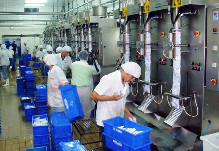 “Ñande kamby” busca promover la producción y el consumo de lácteos nacionales