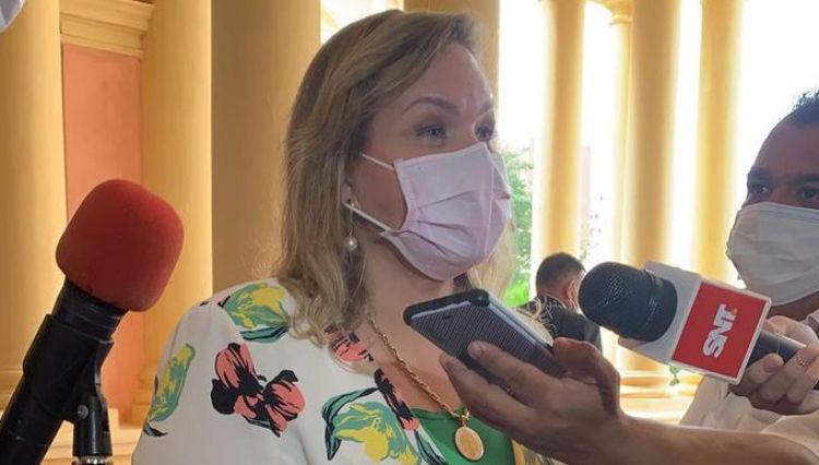 Senadora pide a la justicia llegar a los responsables de los últimos hechos de violencia