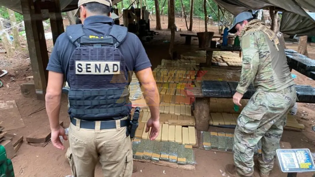 Senad destruye marihuana en reserva privada de Amambay