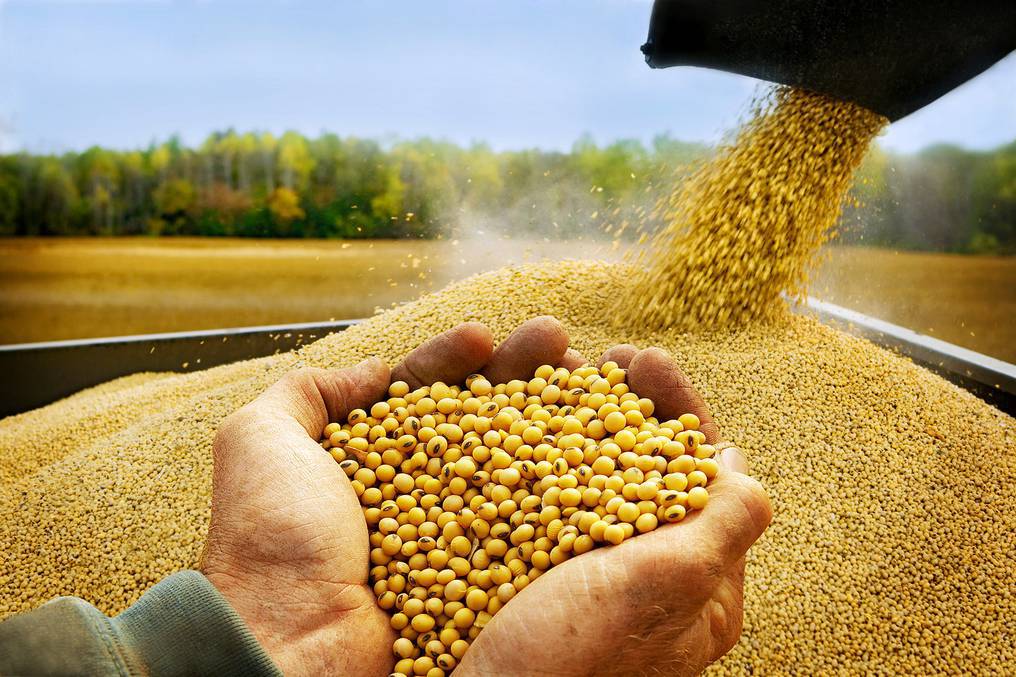 Sector agrícola reporta un nuevo panorama de incertidumbre ante falta de lluvias