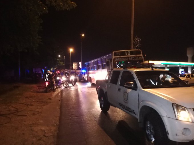 Fiscala solicita imágenes para identificar a quienes agredieron al lince