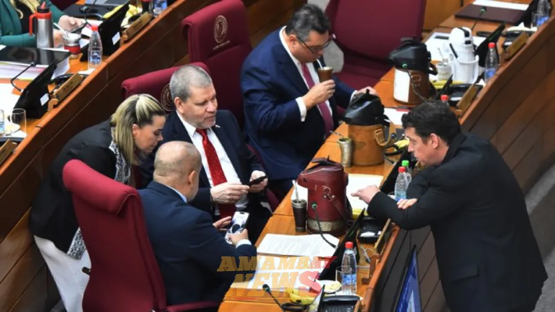 Cartismo tiene los números para imponer hoy ley garrote a oenegés