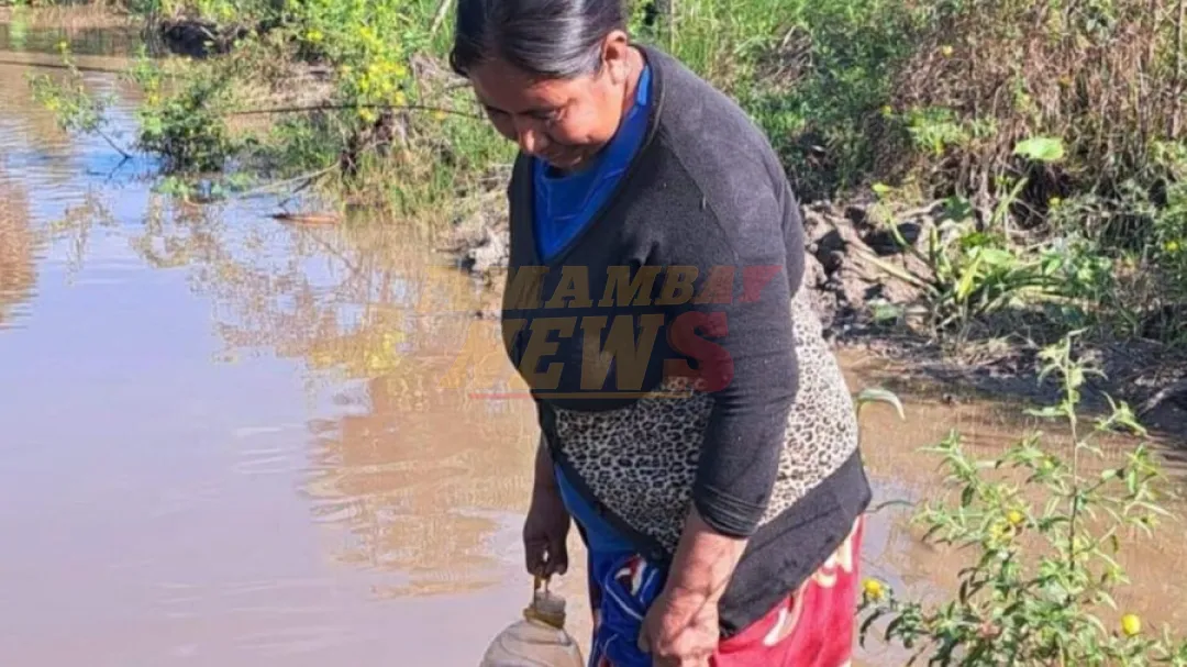 En el Día Mundial del Agua, el Chaco sigue sufriendo la falta de este líquido esencial