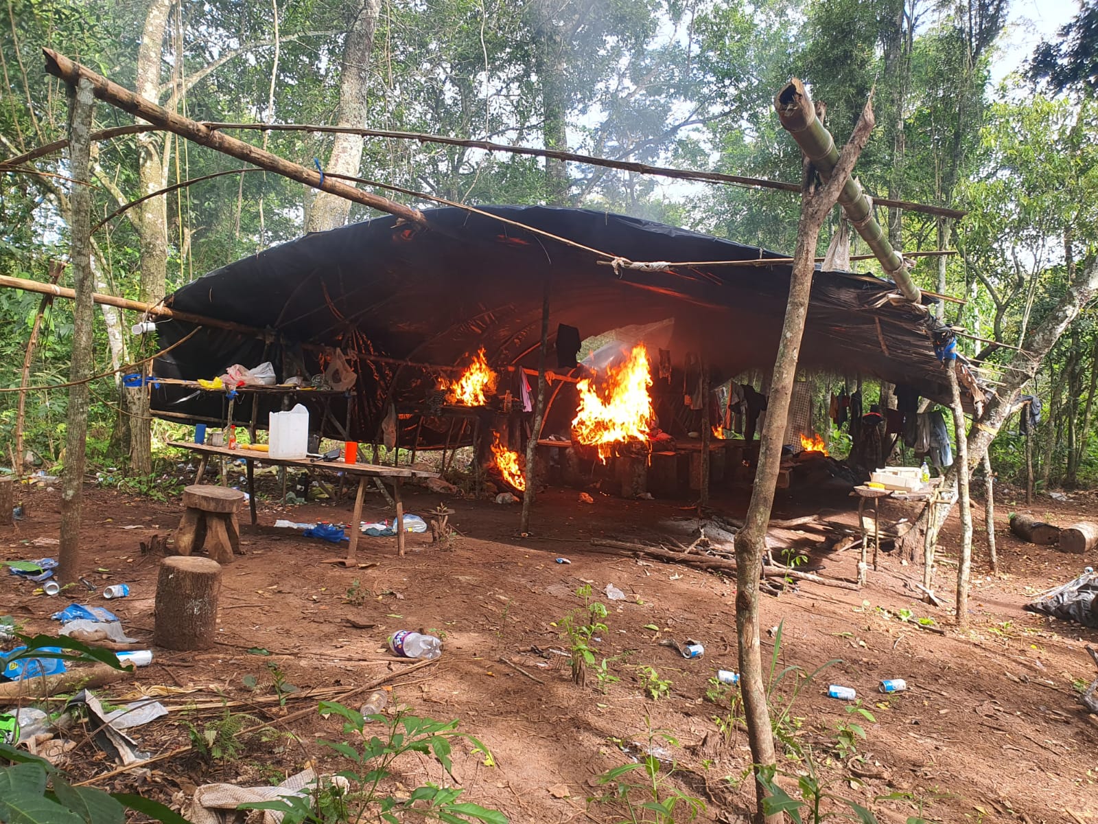 Anulan 93 toneladas de marihuana mediante operativo conjunto en Amambay