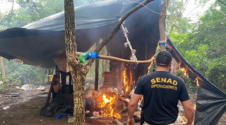 Incautan 38 toneladas de marihuana de un centro de acopio en Amambay
