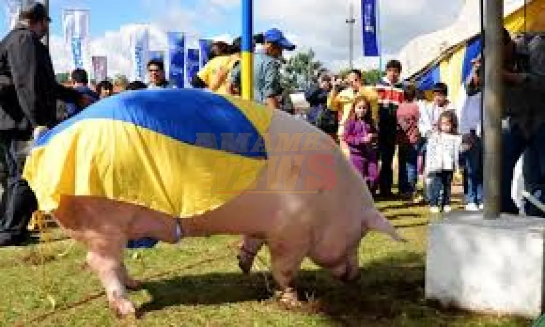 Reelección en el Kure Luque