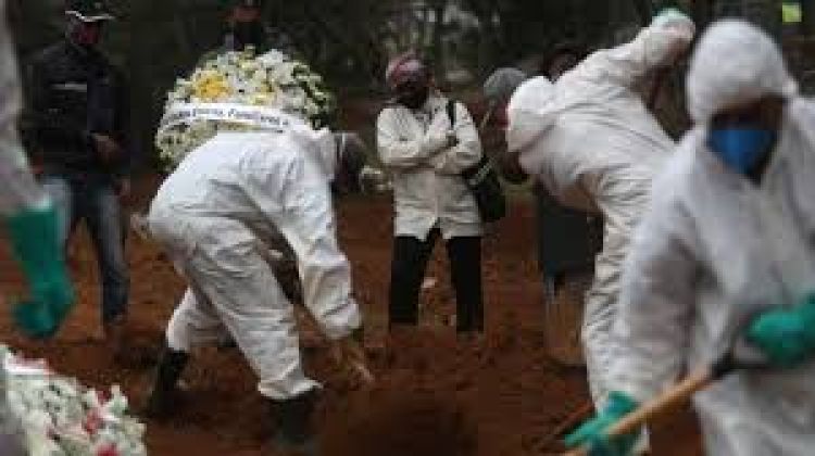 Covid: Brasil registra 213 muertes en 24 horas