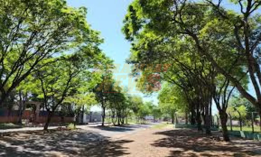 Se anuncia una jornada fresca a cálida para el feriado