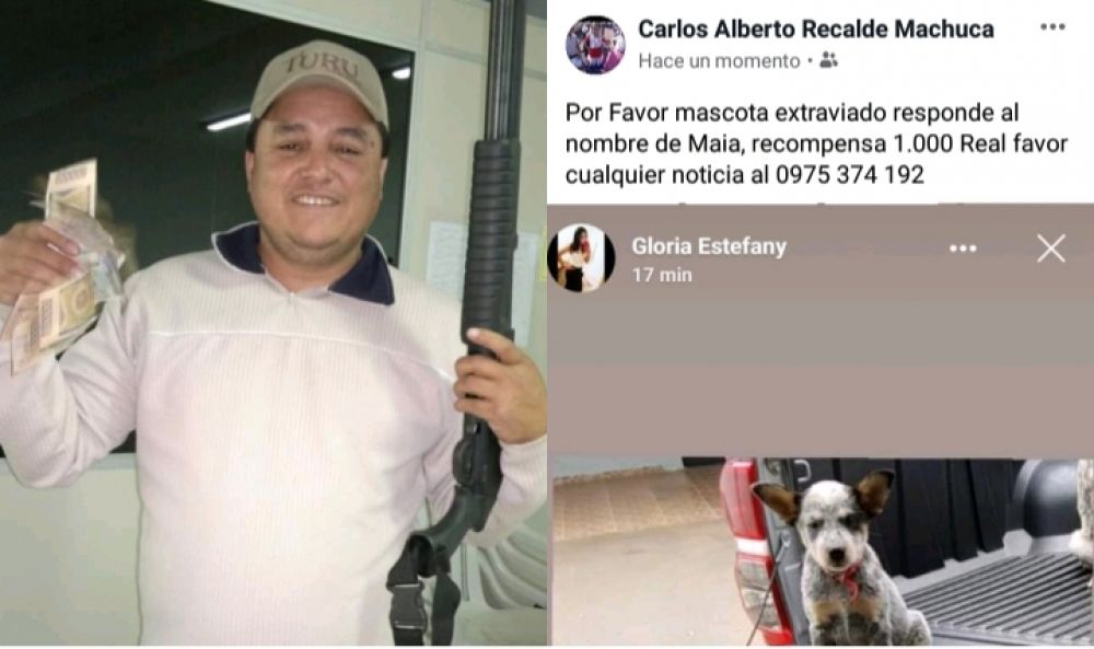 Carlos Machuca ofrece millonaria recompensa por su mascota extraviada