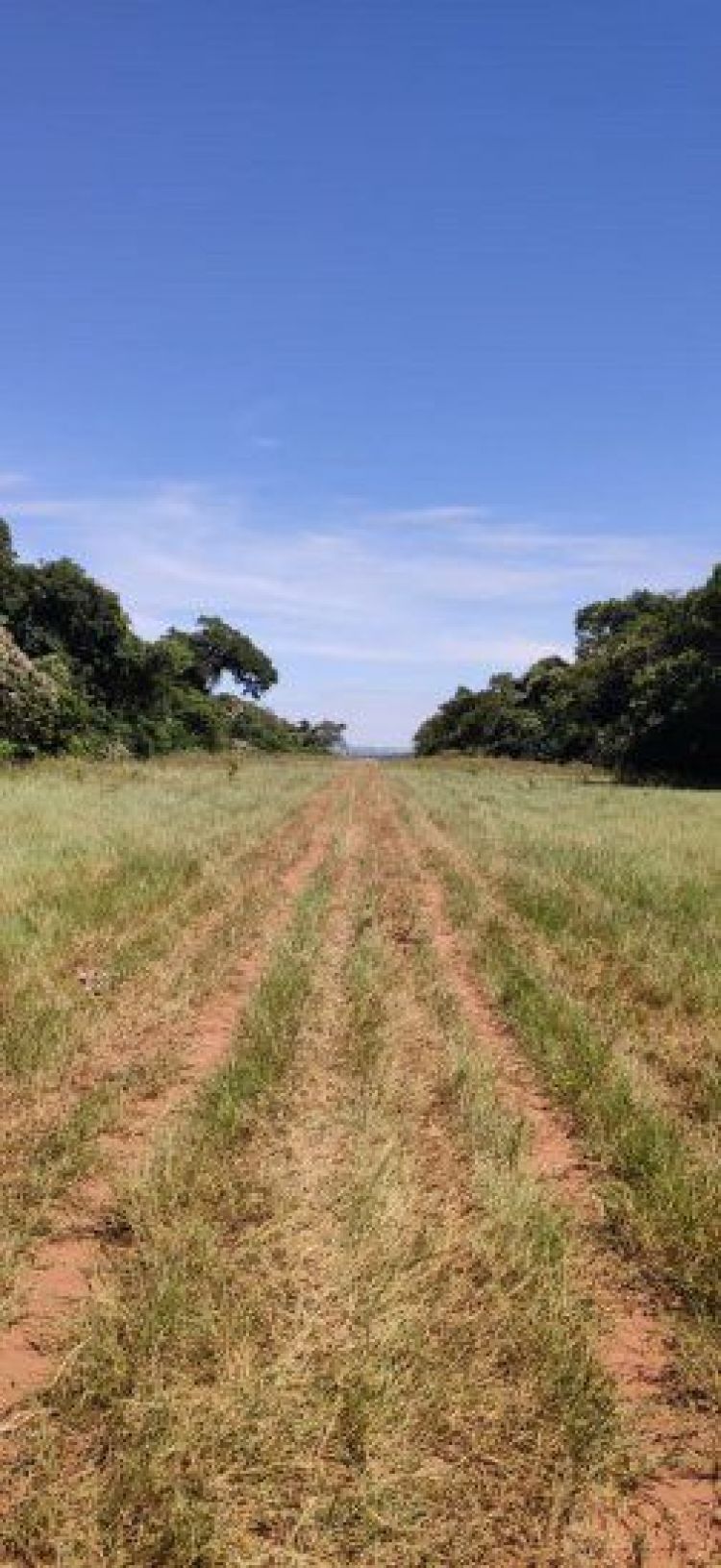Hallan pista de aterrizaje clandestina en Amambay