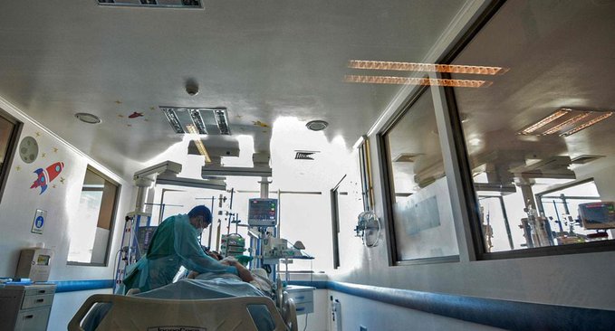 Fallece mujer que recibió riñón de un cerdo tres meses después del trasplante