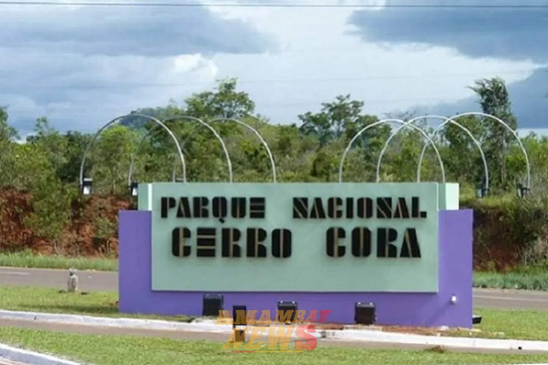 Lluvias extinguen incendios en Parque Nacional Cerro Corá