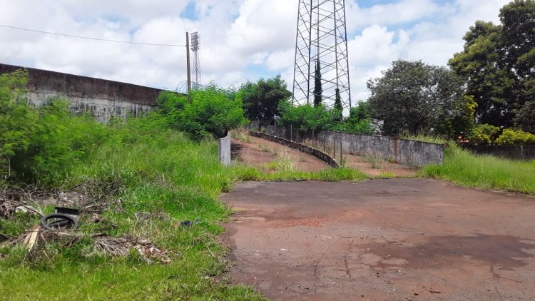 Tratan de puercos a dirigentes displicentes del Club 2 de Mayo de Pedro Juan Caballero