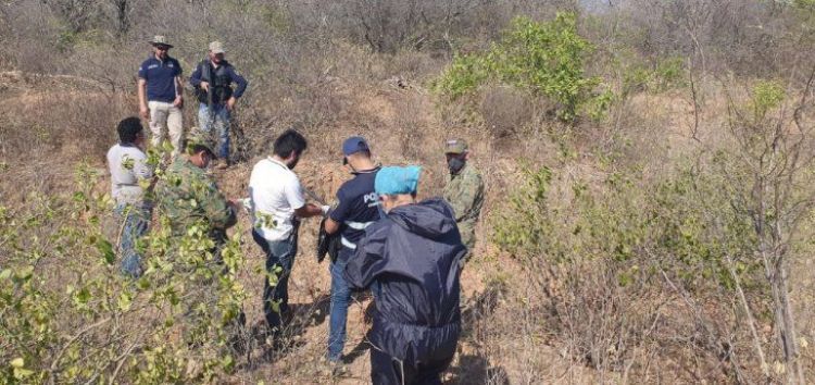 Hallan avioneta quemada y el piloto fue asesinado