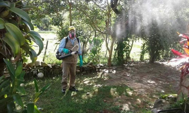 ¿Qué son las nebulizaciones realizadas por SENEPA?