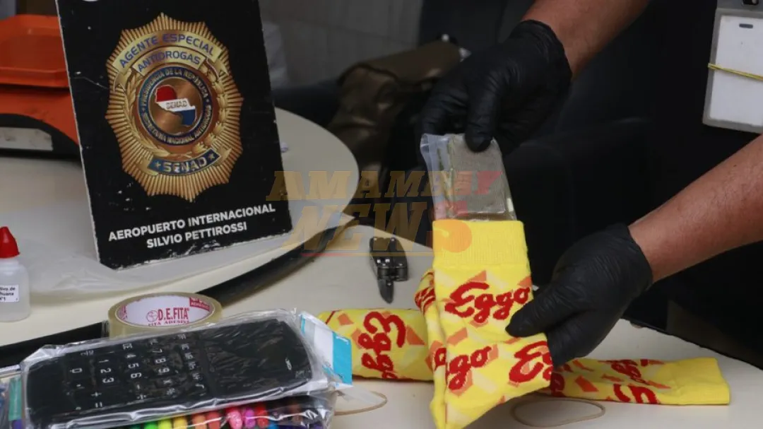 Can antidrogas detecta cargas de marihuana prémium ocultas en medias coloridas en Silvio Pettirossi