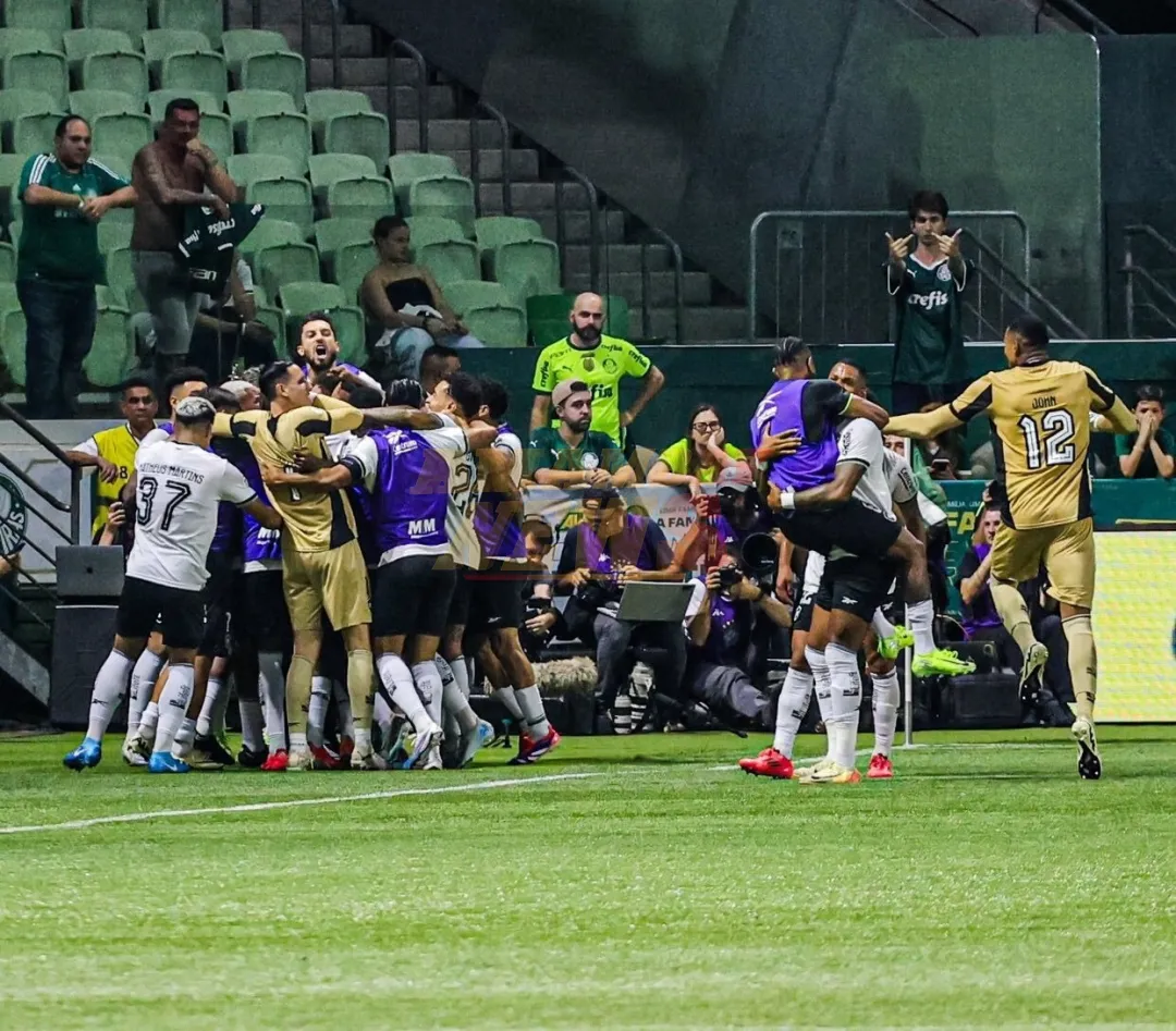 Botafogo vence al Palmeiras y recupera el liderato del Brasileirao