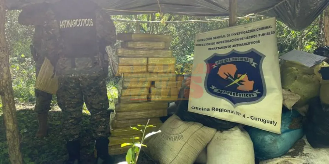 En pleno bosque hallan e incineran más de 1.000 kilos de marihuana