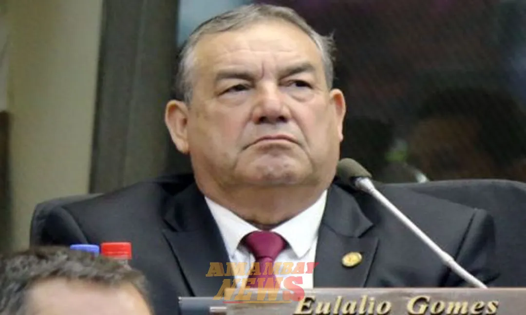 Pavo Real II: fiscales informaron al juzgado resultados tras allanamiento en PJC