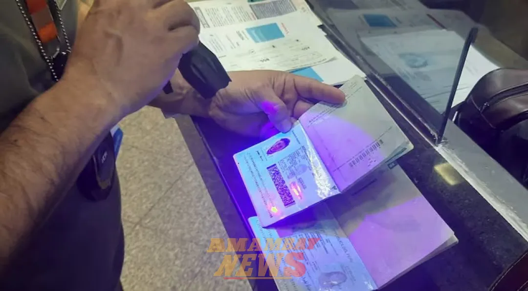 Imputan a hermanos de origen libanés por supuesta falsificación de documentos