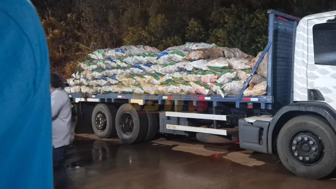 Incautación de mandioca generó indignación entre acopiadores