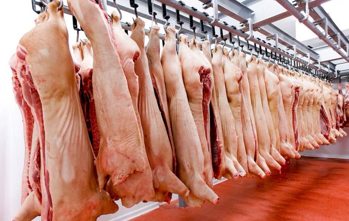 Paraguay, próximo a obtener el ‘visto bueno’ para exportar carne porcina a Taiwán