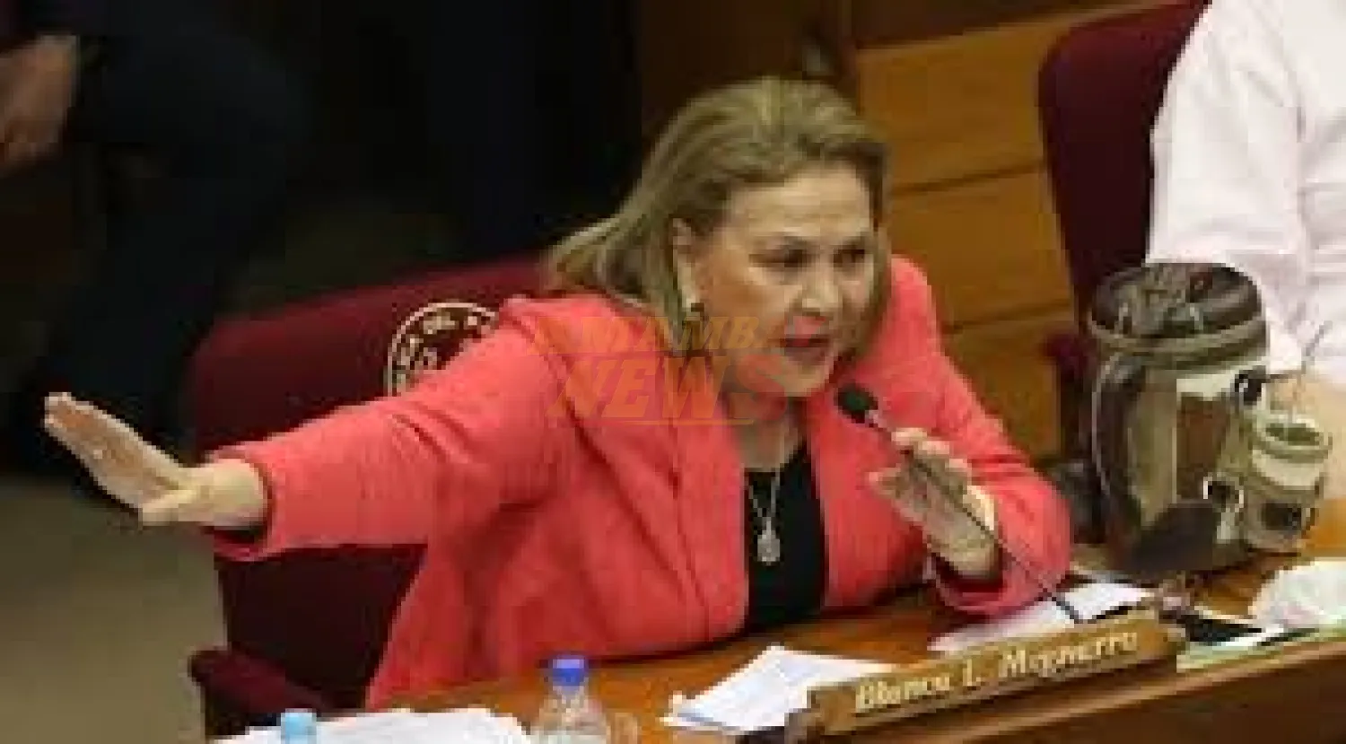 Exsenadora liberal denuncia “trato apu’a” para desplazar a las mujeres del PLRA
