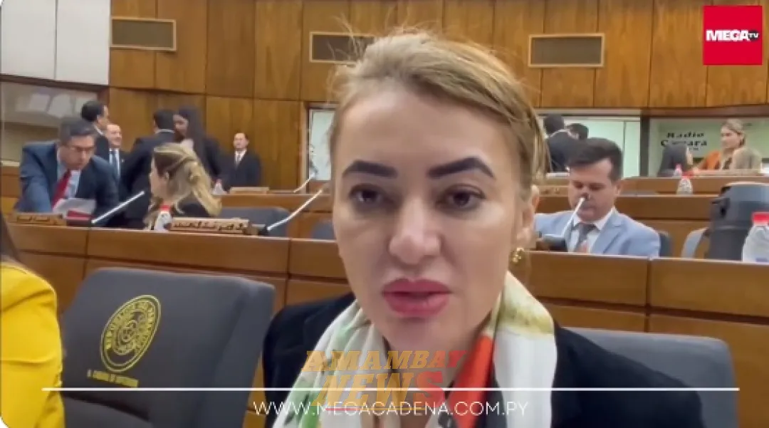 Diputada Virina Villanueva se aparta del movimiento Honor Colorado