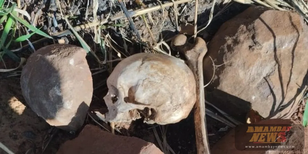 Tractorista halla restos óseos en una estancia en Bella Vista Norte