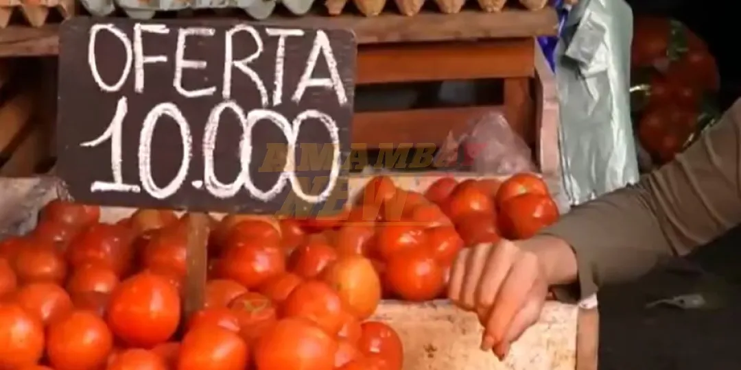 Gremio desmiente escasez de tomate y detalla precio real