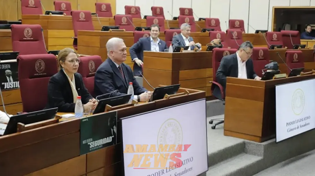 Organización internacional advierte sobre riesgos de ley anti-ONG