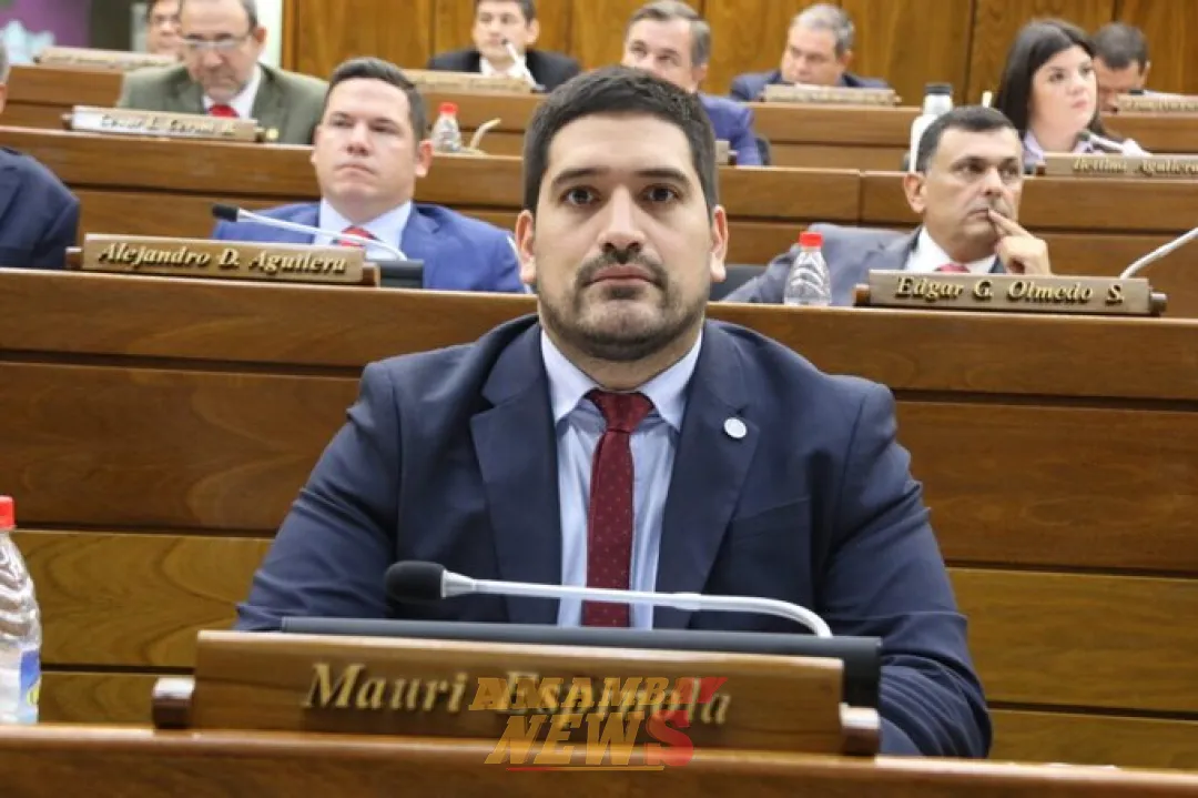 Diputado insta a que la ANR haga alianzas con partidos de la oposición