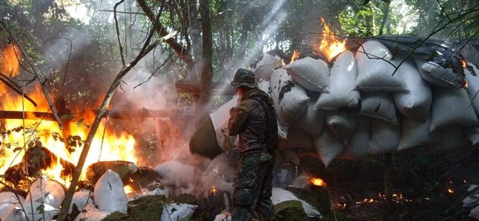 SENAD y FTC culminan fase V de la Operación CUT con más de 100 toneladas de sustancias ilícitas incautadas