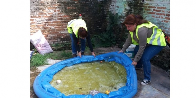 Reportan más casos de chikungunya que dengue en el país y piden limpiar criaderos