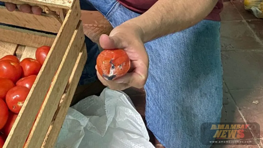 Hambre Cero: Escuelas indígenas recibieron alimentos “como si fueran de la basura”