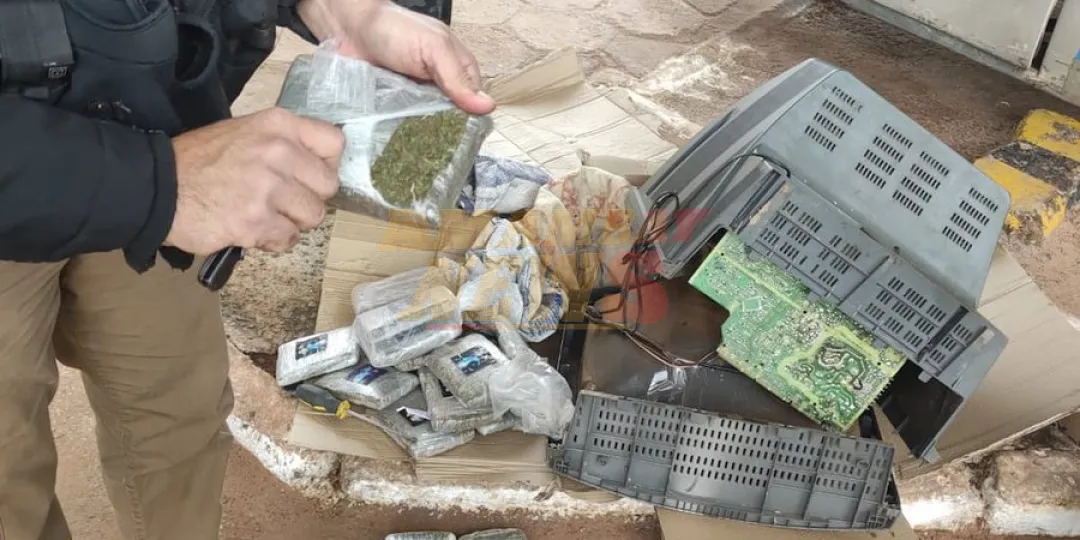 Descubren marihuana “Skunk” oculta dentro de una encomienda enviada al norte