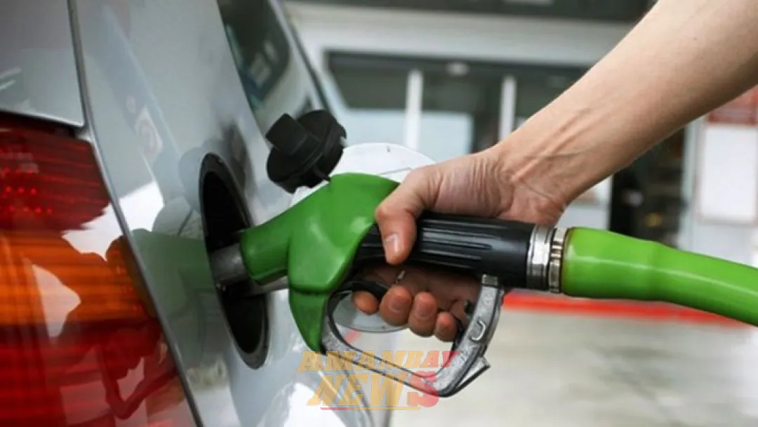 Emblemas privados se suman a reducción de precios, tras anuncio de Petropar