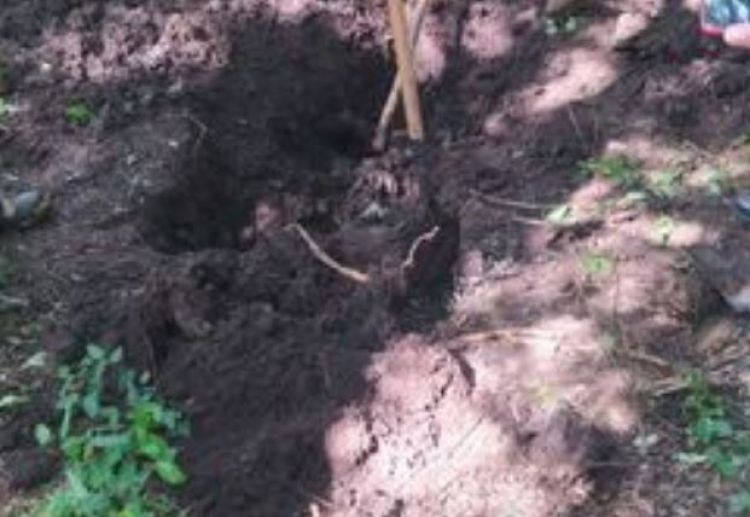 Hallan cuerpo en avanzado estado de descomposición en Pedro Juan Caballero