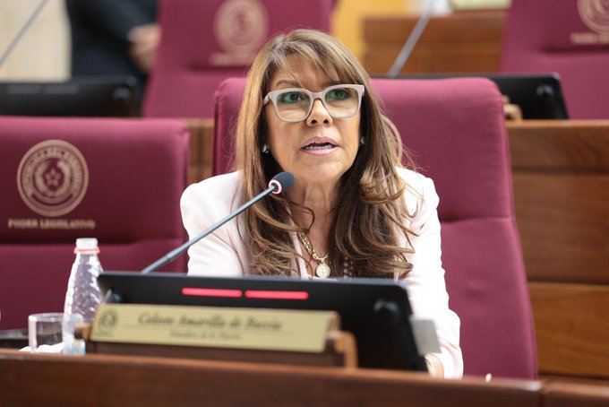 Senado dará entrada hoy a pedido de desafuero de Celeste Amarilla