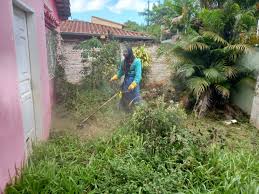 Intensifican acciones contra Aedes aegypti en Asunción y Central