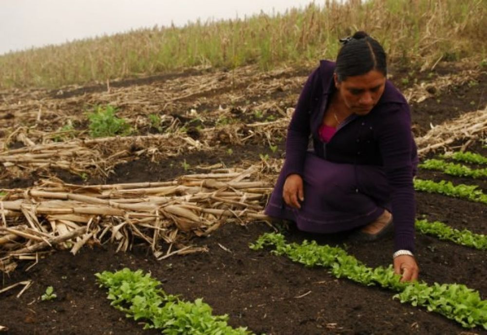 15 de octubre se conmemora el Día Internacional de las Mujeres Rurales
