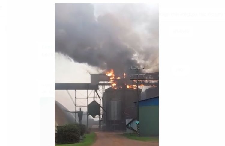 Controlan incendio que afectó a cooperativa en San Cristóbal