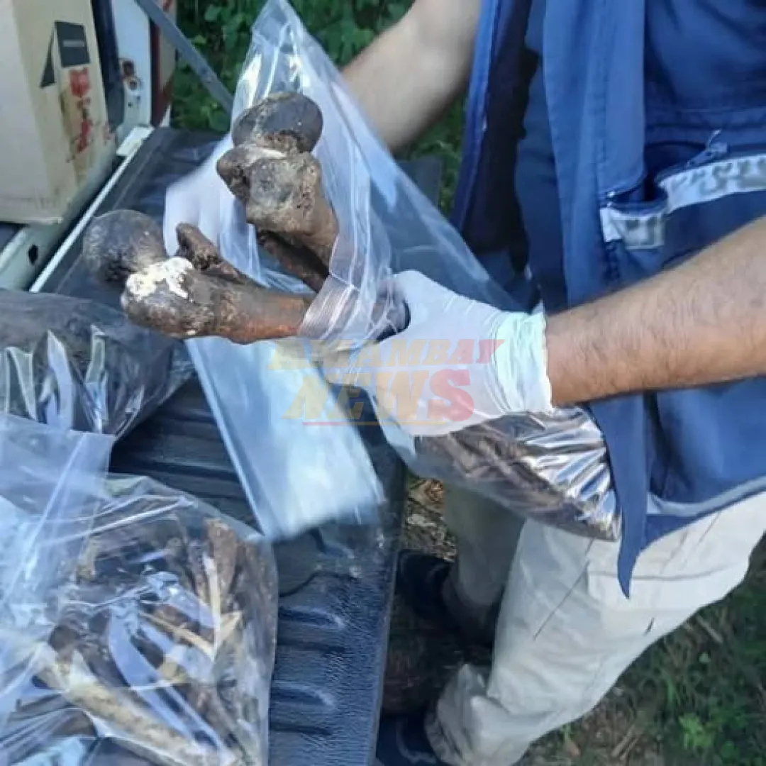 Hallan restos óseos en Iturbe: podrían pertenecer a joven desaparecido desde 2023