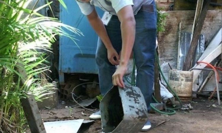 Recuerdan que eliminar criaderos es primordial para frenar propagación del dengue
