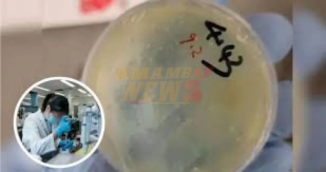 Científica china es arrestada en EU por presunto tráfico de material biológico
