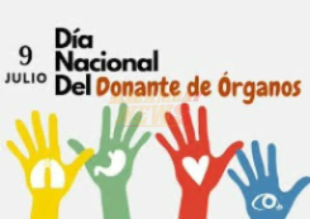 Conmemoran Día Nacional del Trasplante en Paraguay con 305 personas en lista de espera