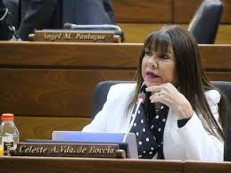 «Van a seguir tratando de callarme», afirma diputada Amarilla