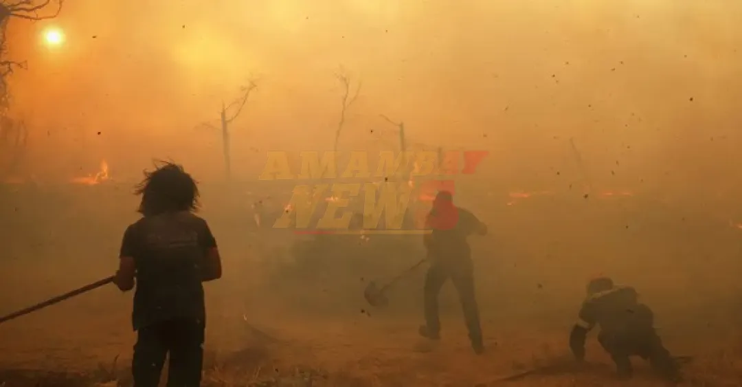Incendios en Grecia ya forzaron 7.000 evacuaciones
