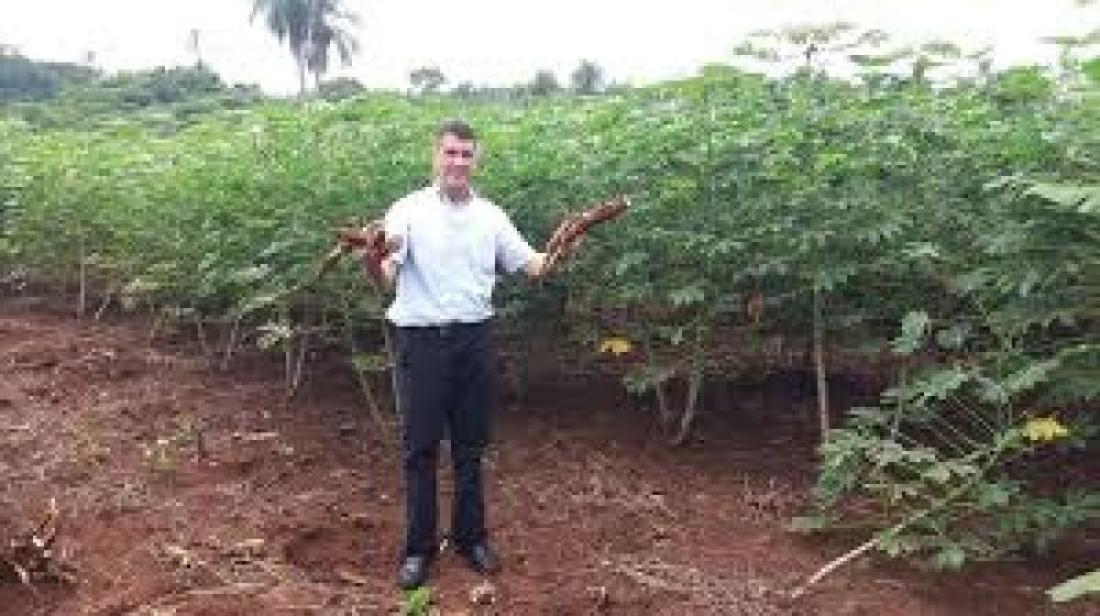 Agricultores celebran lluvia en Amambay