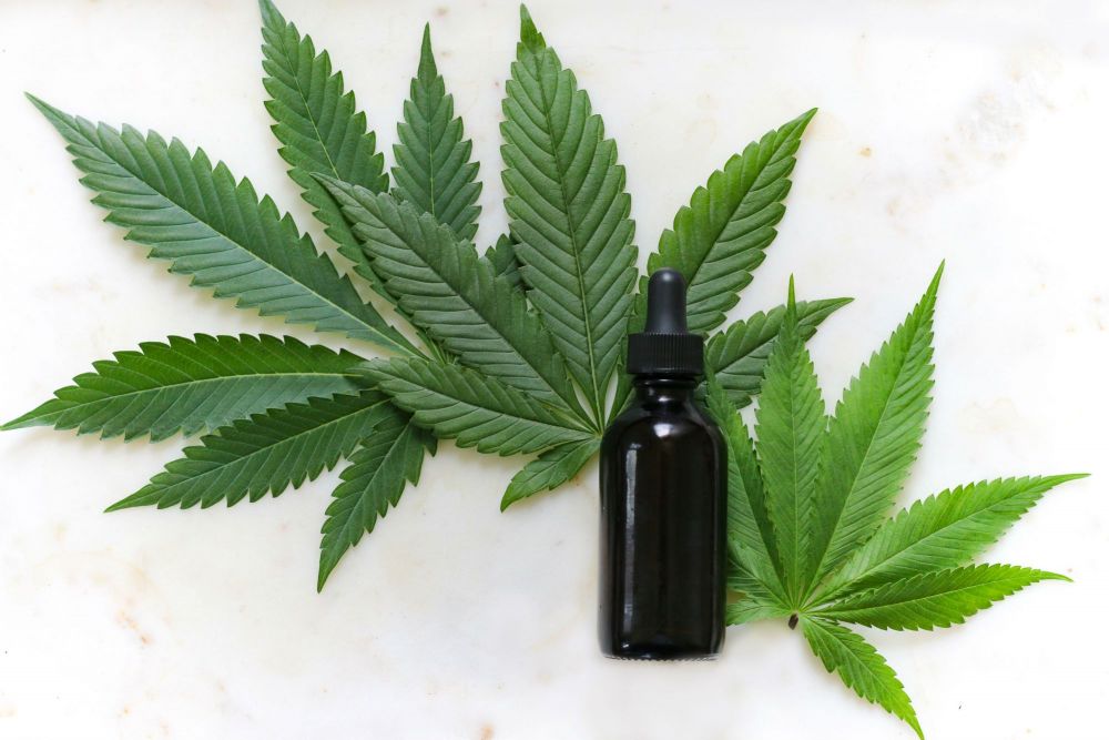 Se cultivan primeras variedades de cáñamo en cinco departamentos